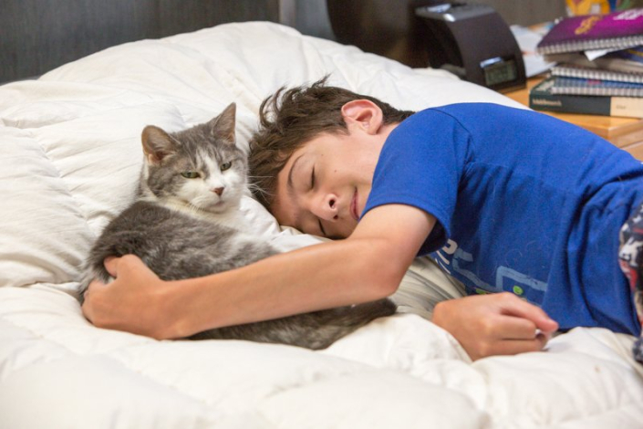 Young boy lying in bed cuddling with his gray and white cat.