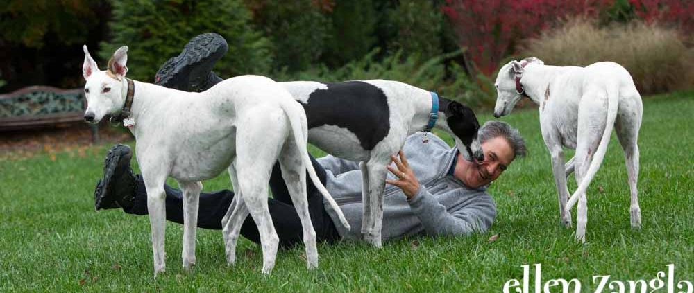 Ellen Zangla Photography, Dog Photographer, Loudoun County