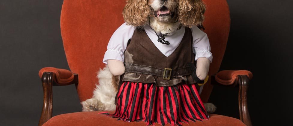 Ellen Zangla Photography, Dog Photographer, Loudoun County