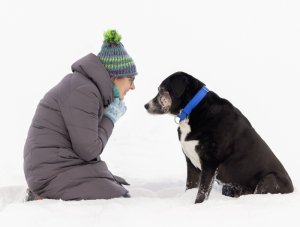 Woman and Dog in Snow | Loudoun County Woman and her dog sitting in the snow looking at each other.