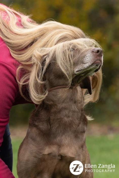 Whimsical photo of dog sitting outside with her owner's hair covering her face