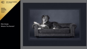 Studio photo of scruffy puppy lying on a couch.