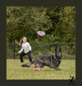 Photo of young girl and dog with frisbee in Loudoun County VA by Ellen Zangla Photography