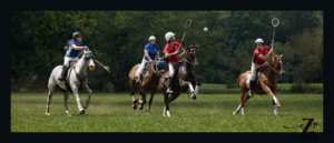 Polocrosse playing passing the ball to another player