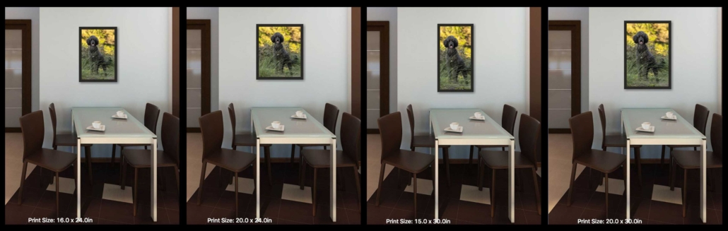 Example of how one photo in four different sizes will look on the wall.