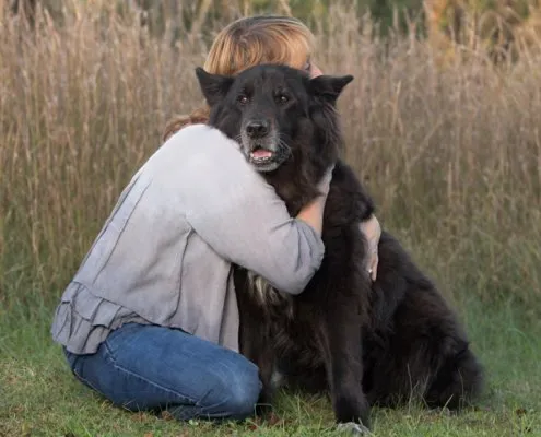 Woman Hugging Her Older Dog Outside | Ellen Zangla Photography Woman hugging her older dog outside in Northern Virginia