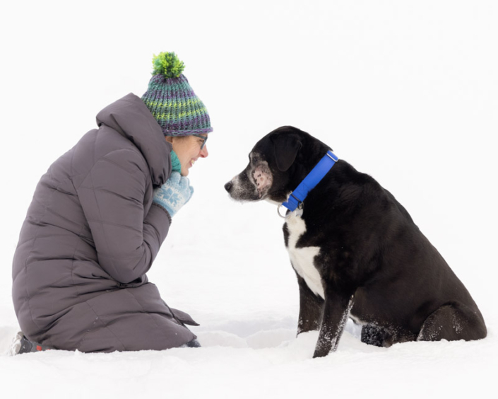 Black dog and owner playing in the snow in Northern Virginia.