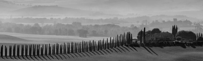 House and cypress trees in fog in Tuscany, Italy.