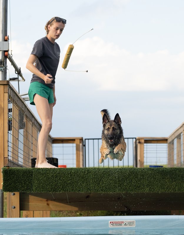 Woman throwing toy for dog as he jumps off dock into pool.