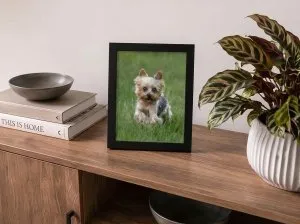 Example of how a small, framed photo looks on a shelf