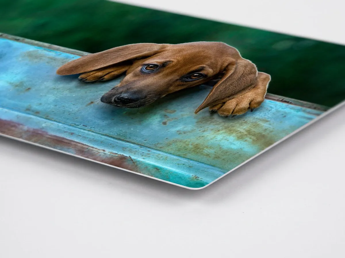 Close up of a metal print to show what that product looks like.